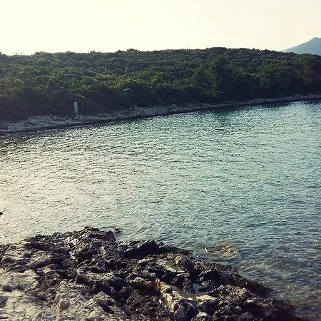 Ivana *